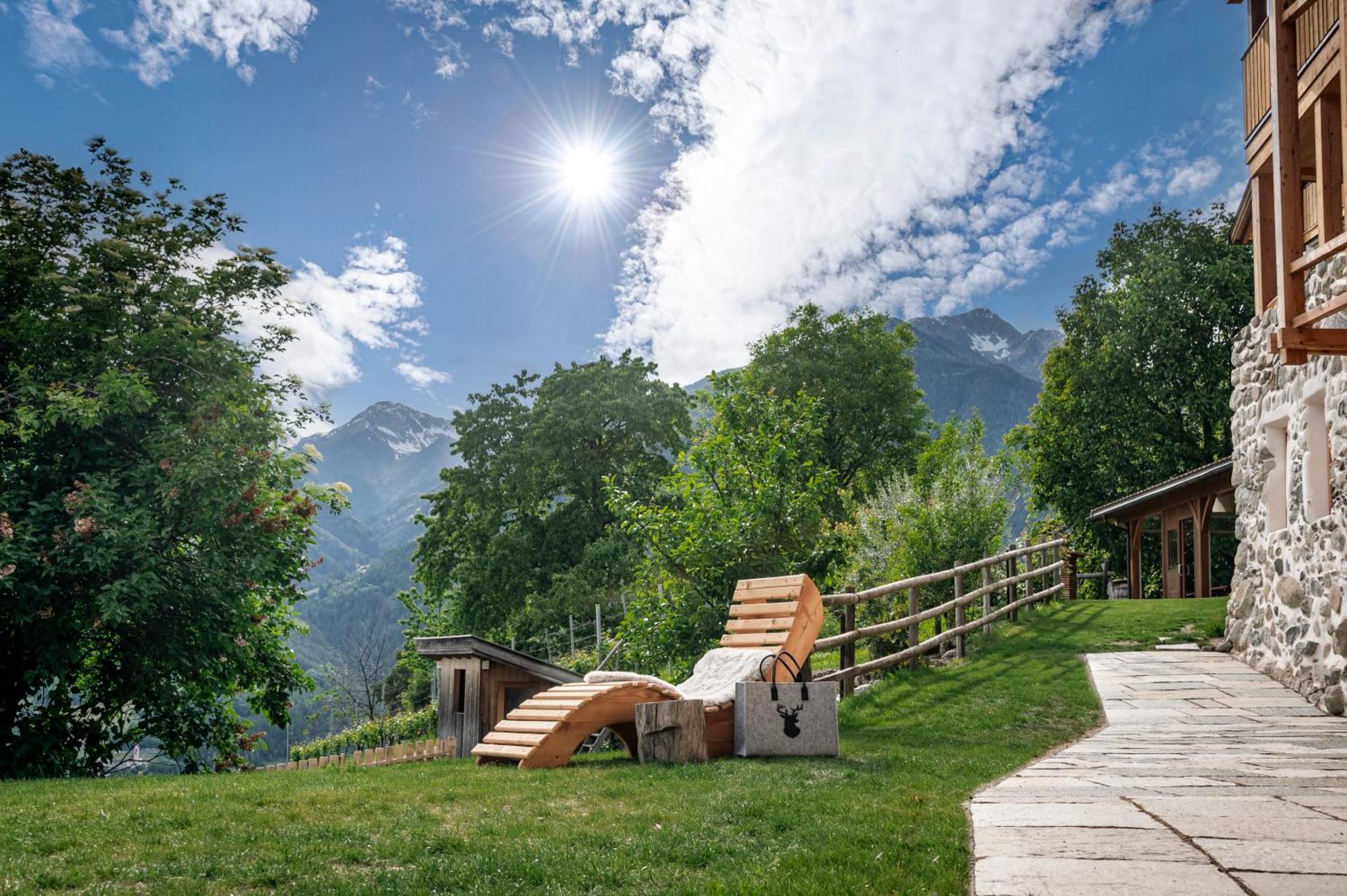 Trinnerhof- Hof Chalets Und Obsthof Mit Zimmer Natz-Schabs Eksteriør billede