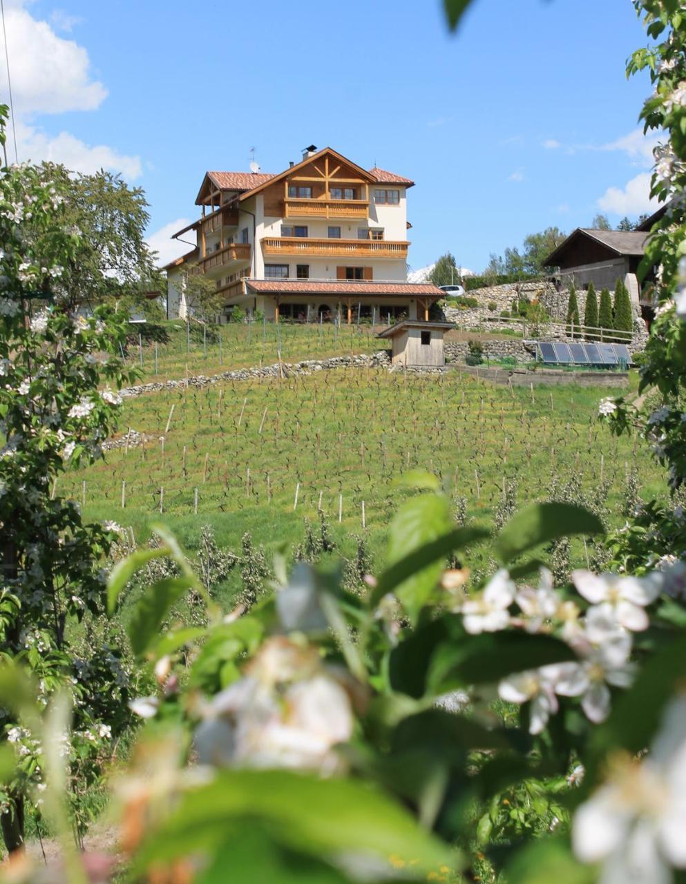 Trinnerhof- Hof Chalets Und Obsthof Mit Zimmer Natz-Schabs Eksteriør billede